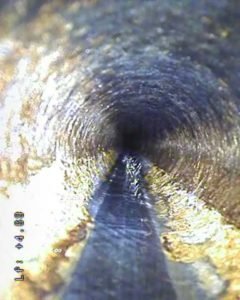 Vue d'un drain parcouru par une queue de renard