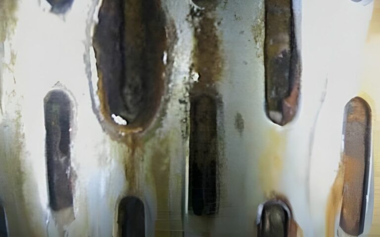 Crépinettes après traitement-Forapulse