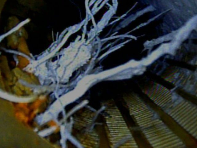 Drain à fil enroulé concrétionné - Forapulse