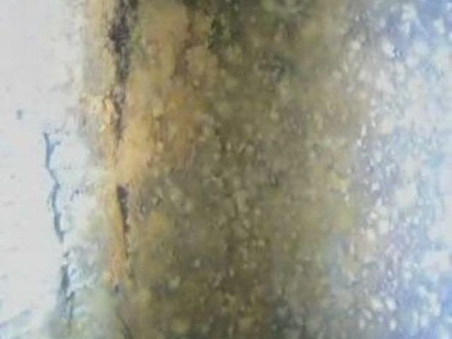 Forage colmaté : crépine avant traitement Hydropuls-Forapulse