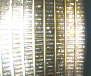 Massif filtrant bien visible après traitement NPXP®