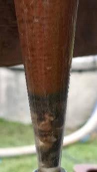 Fond avec massif filtrant, sable et oxydes - Forapulse