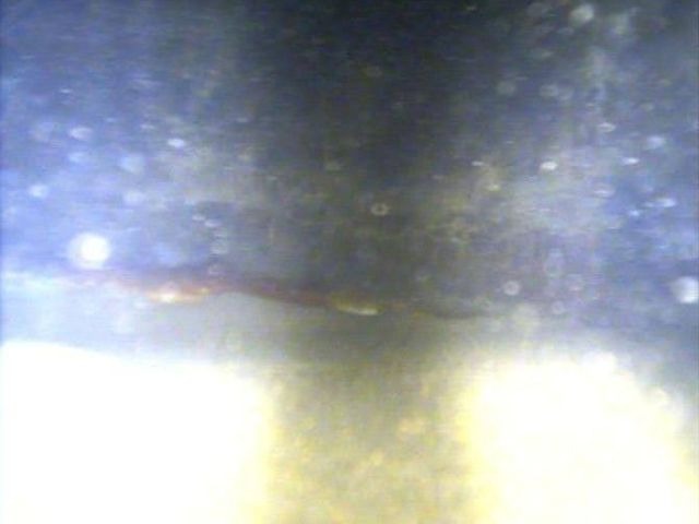 Fond désencrassé - Forapulse