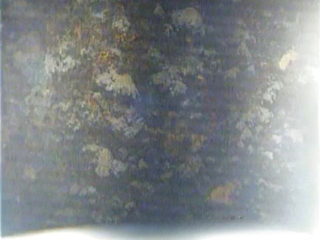 Crépines avec légers dépôts à la base des nervures repoussées - Forapulse