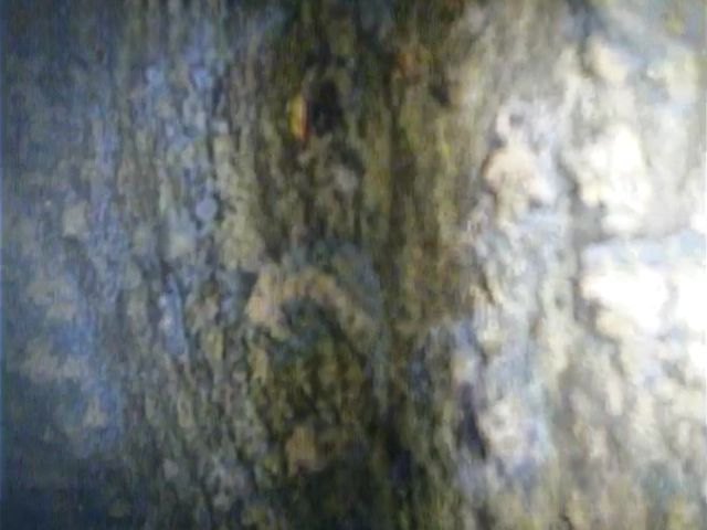 Crépines colmatées - Forapulse