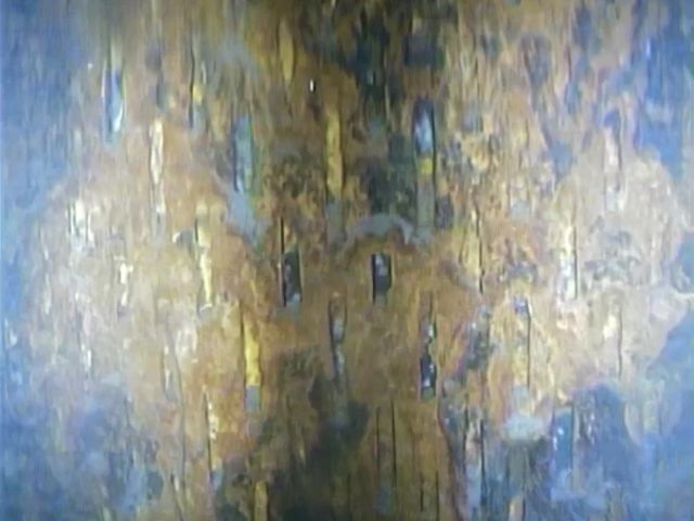 Crépines dégagées mais encore colorées-Forapulse