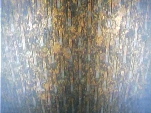 Crépines totalement dégagées - forapulse